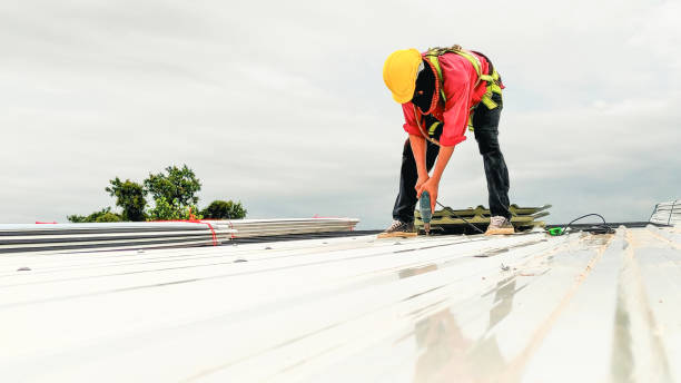 Best Gutter Replacement  in Unionville, TN